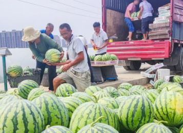用小吊機給貨車吊裝西瓜的可行性分析
